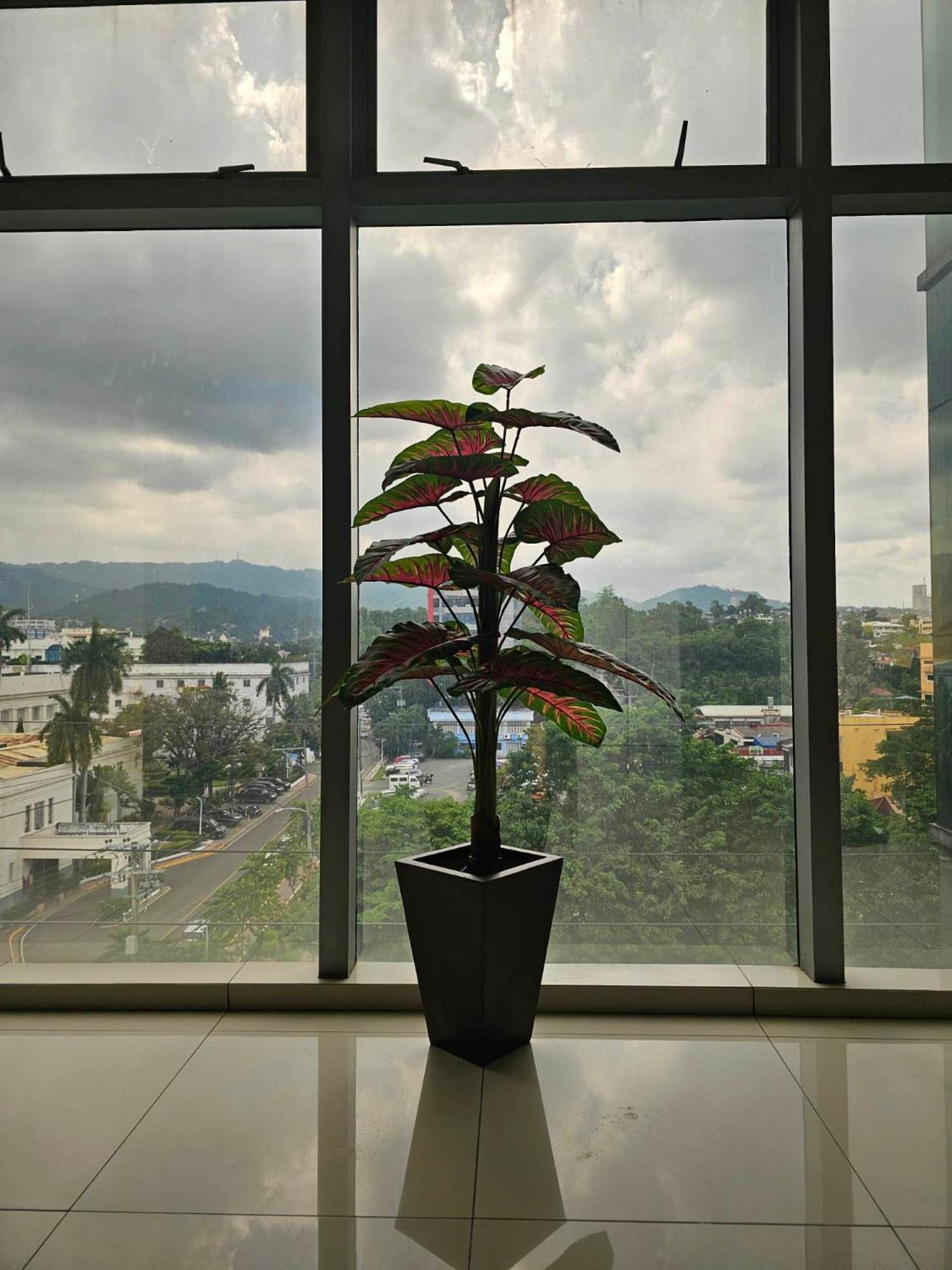Cebu Capitol Central Hotel & Suites Powered By Cocotel 外观 照片
